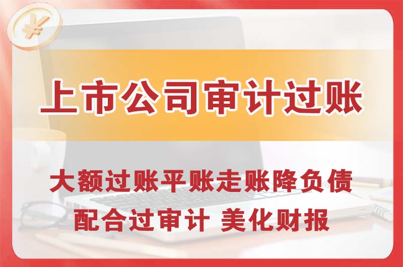 洮南上市公司审计过账